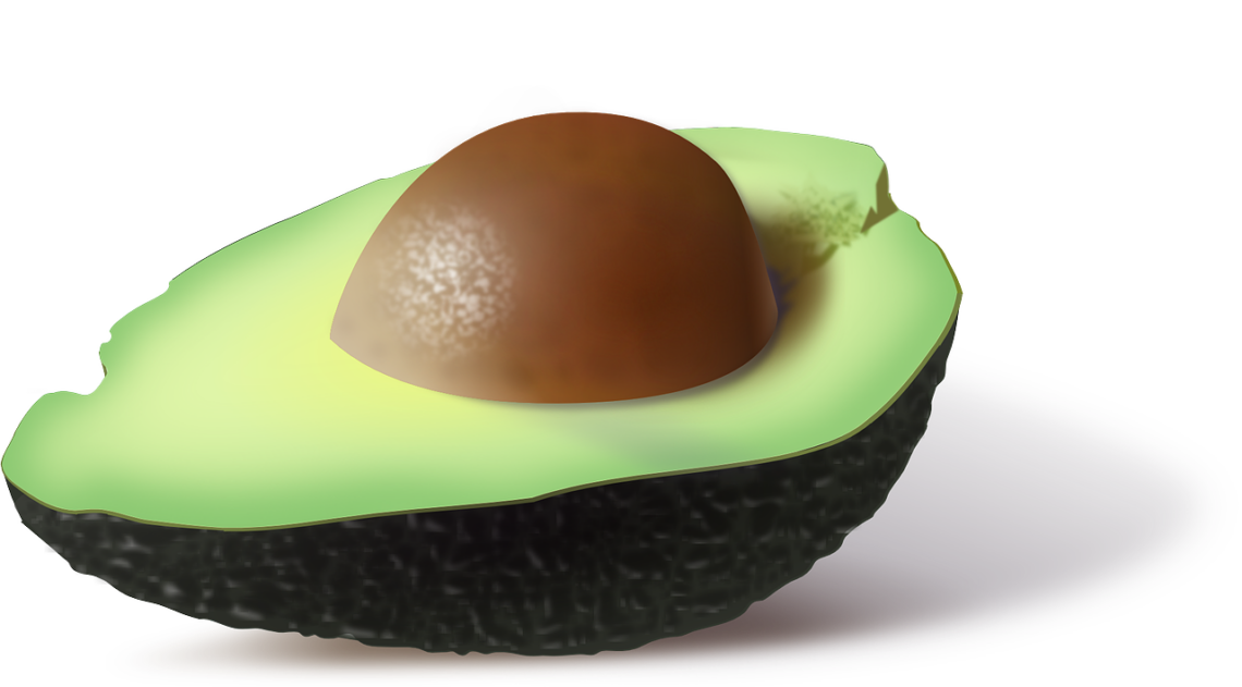 avocado, food, green-161822.jpg