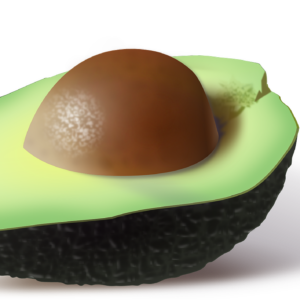 avocado, food, green-161822.jpg