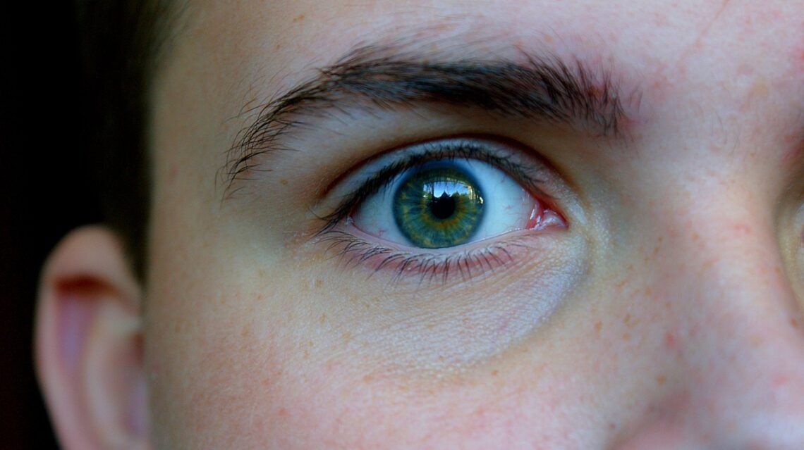 eye, green, iris-3705341.jpg