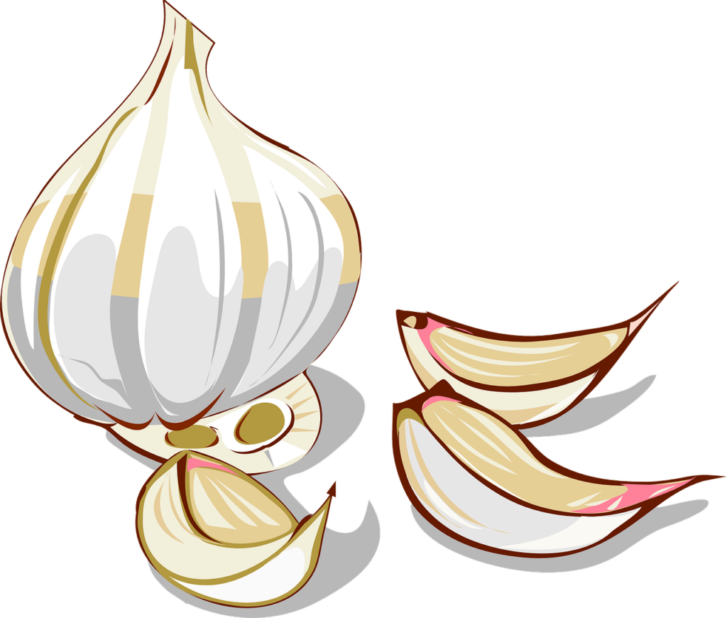 garlic, bulb, cloves-25382.jpg