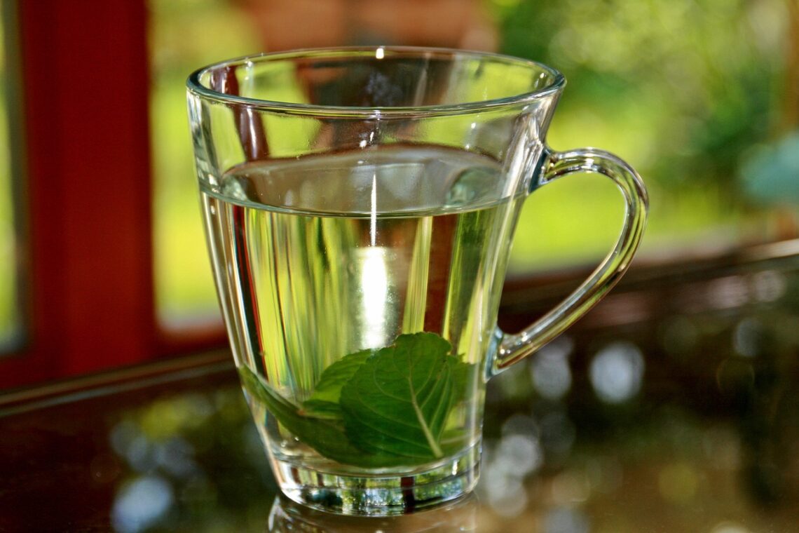 peppermint tea, tea, mint tea-352334.jpg