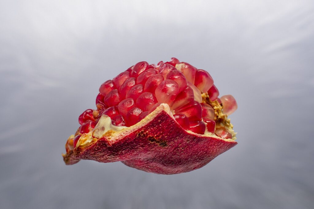 pomegranate, fruit, pomegranate pattern lover-7727957.jpg