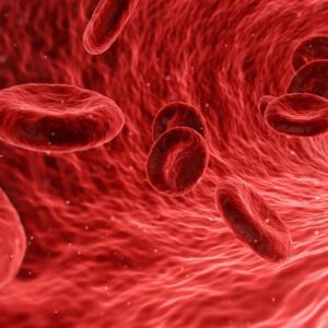 blood, cells, red-1813410.jpg