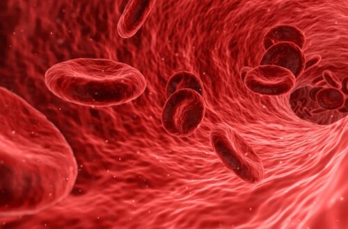 blood, cells, red-1813410.jpg